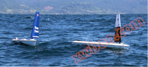 Sailbuoy海洋风力无人巡航观测系统(图1)