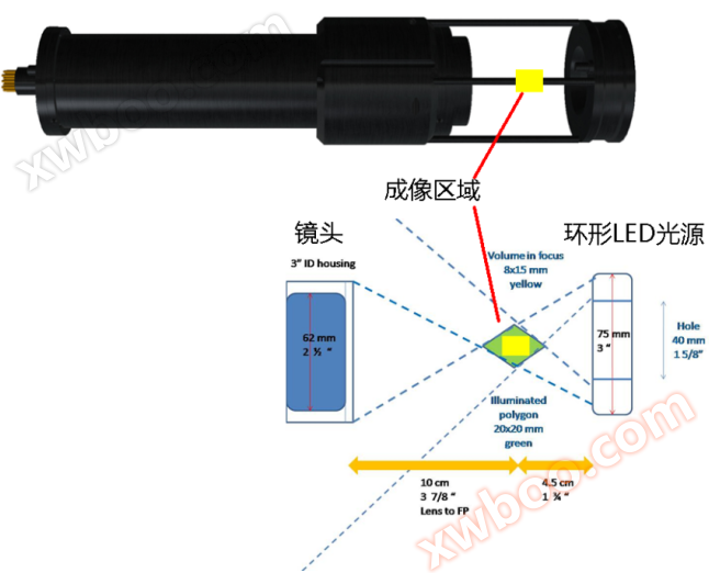 CPICS浮游生物彩色连续成像分类系统(图3)