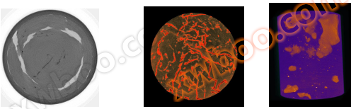 RXCT 旋转式岩芯断层扫描系统(图3)