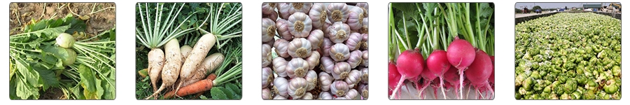 酱菜应用案例.jpg