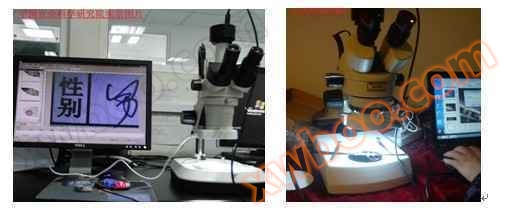 木材细胞观察国产显微镜