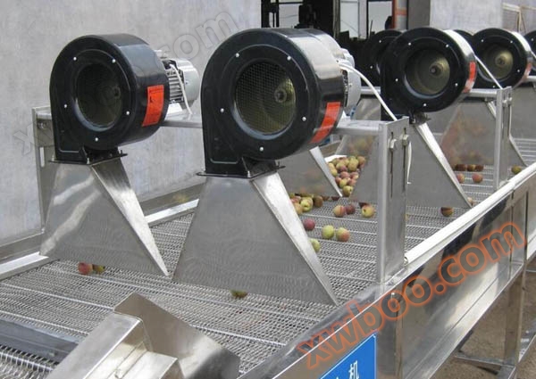 Fruit drying machine