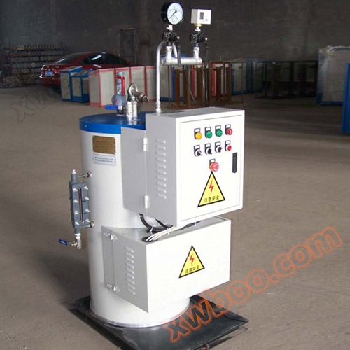 Thermal experimental platform boiler