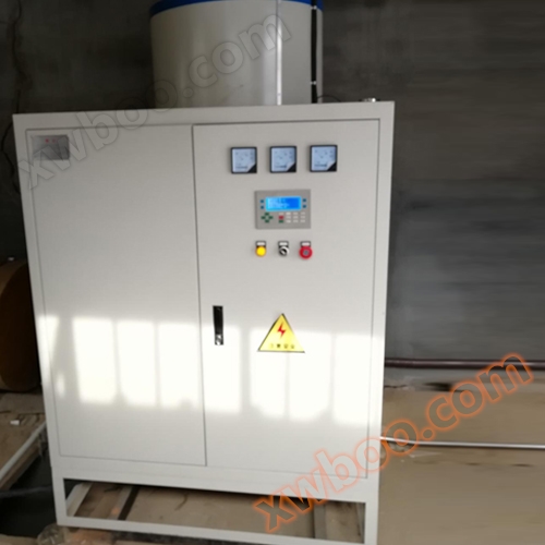 Rubber vulcanization electric steam generator