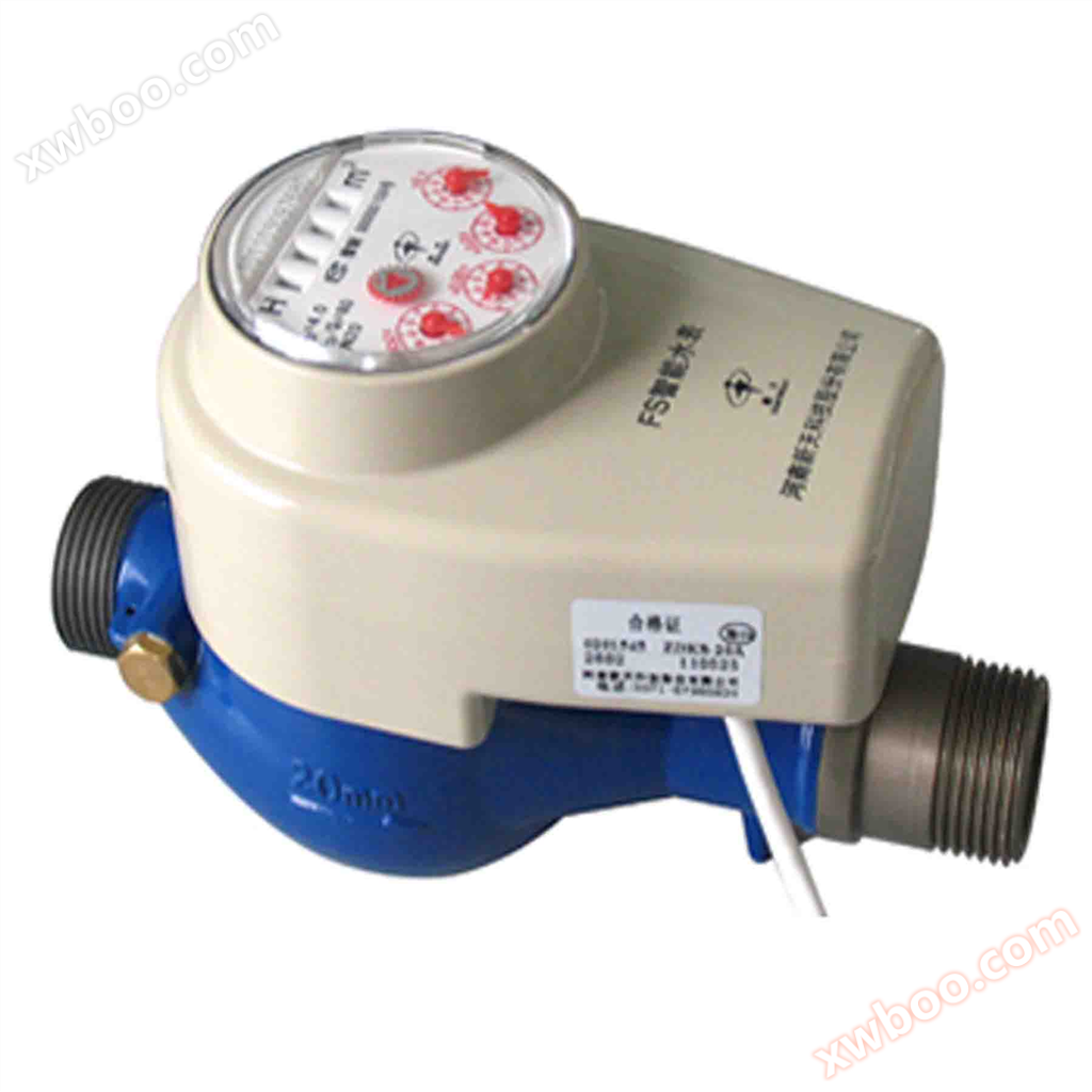 Optische Direktlese + Steuerung